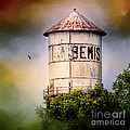 Colorful History Bemis Tennessee