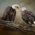 Quiet Conversation