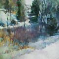 Morning In Colorado Landscape Art by Jai Johnson