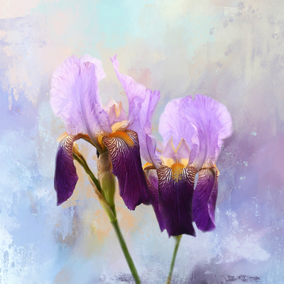  The Top Texture and Background Collections To Use With Your Flower Photos