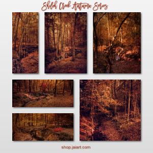 Shiloh Creek Autumn Series