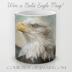 Love Bald Eagles...Win a Mug