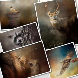 Five New Wildlife Paintings This Week