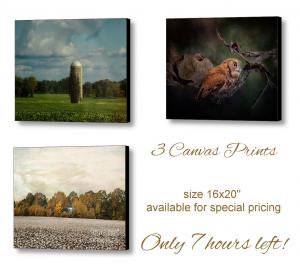 3 Canvas Prints Available on Special Promotion - 7 Hours Left