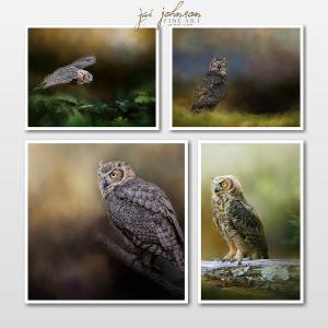 A Night With The Great Horned Owl