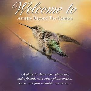 New Group on Facebook Artistry Beyond the Camera