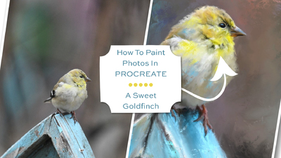 How to Paint Photos In Procreate A Sweet Goldfinch